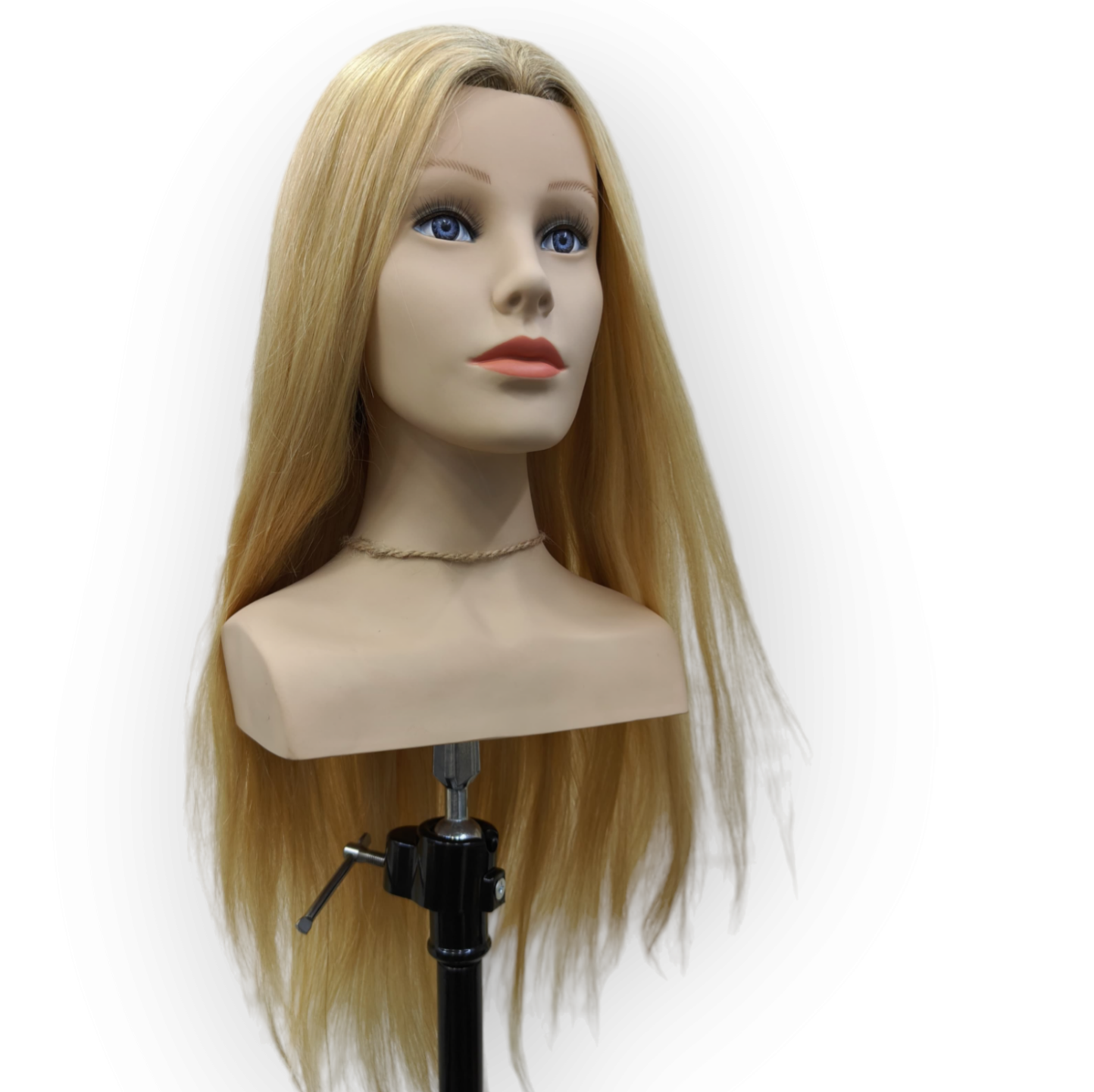 DIANA No. 3 – 100% Real Silky Human Hair Professional Styling & Colour Practice Mannequin Head (30 Inches Dual-Tone, Tangle-Free)